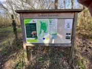 Plenty to discover - Odiham Common