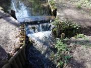 Stream at Black Dam