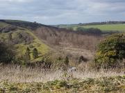 Wayfarers Walk from White Hill car park